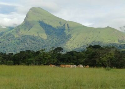 Étude d’impact social pour le projet d’exploitation de minerai de fer de Kon Kweni – Guinée