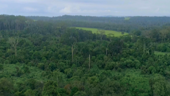 Elaboration du Plan de Gestion du Patrimoine Culturel sur les zones d’activités pétrolières d’Assala Gabon